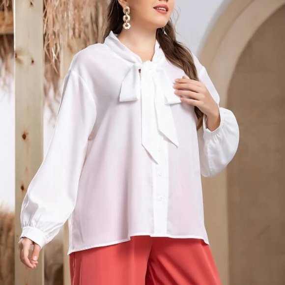 🦋 3/$25 Tie Neck Drop Shoulder Blouse - Picture 1 of 7
